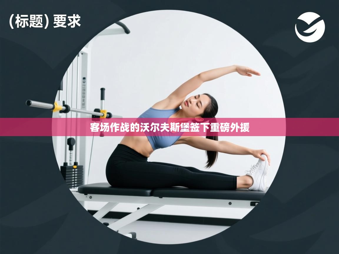 客场作战的沃尔夫斯堡签下重磅外援  第2张