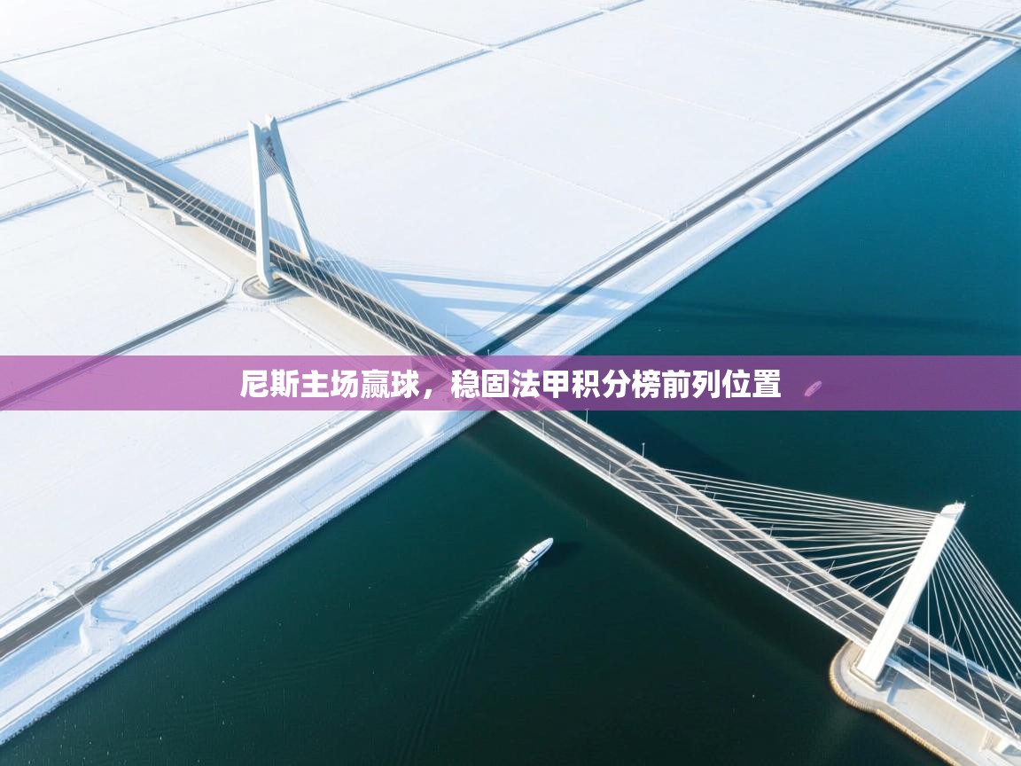 尼斯主场赢球，稳固法甲积分榜前列位置  第1张